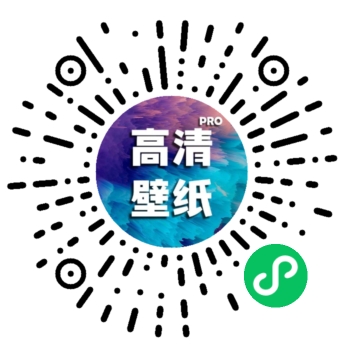 高清手机壁纸pro